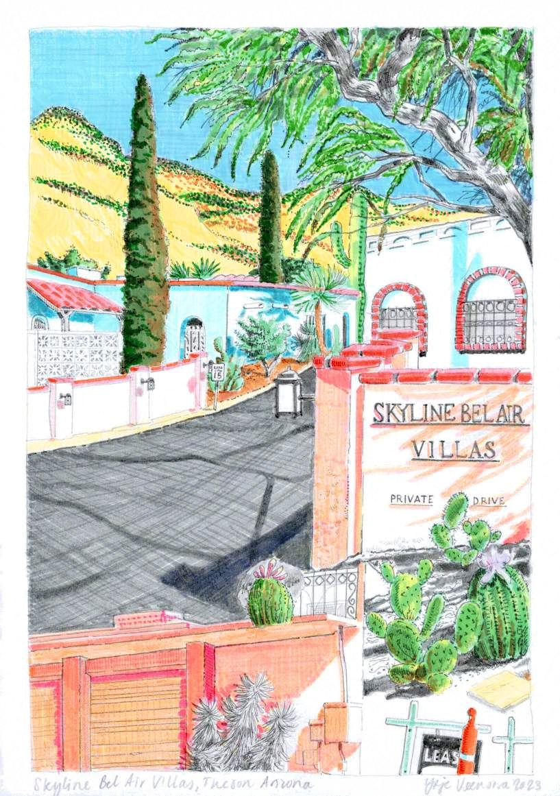 The Catalina Foothills: Apartments — image 3